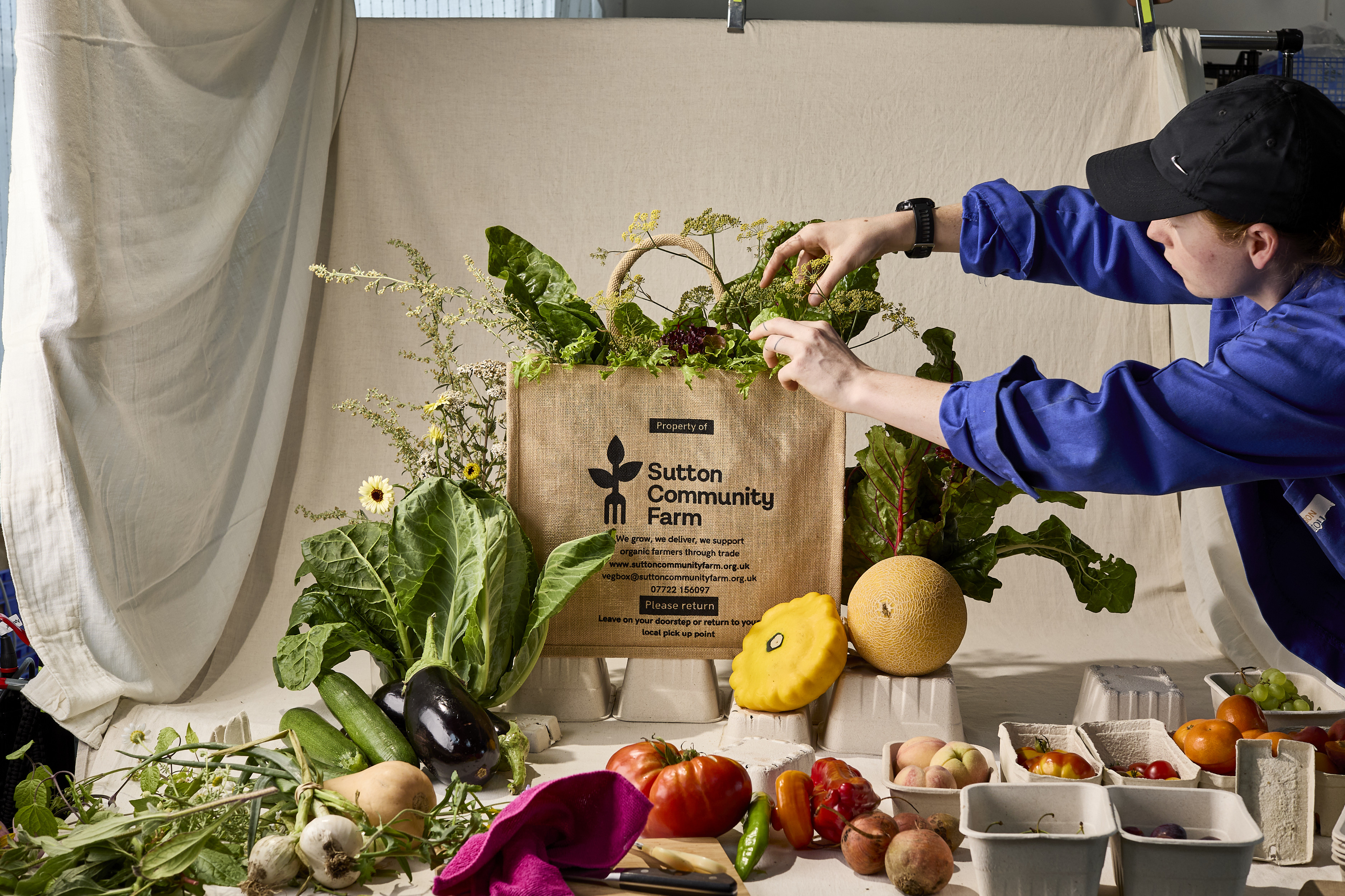 Photography and content from Sutton Community Farm