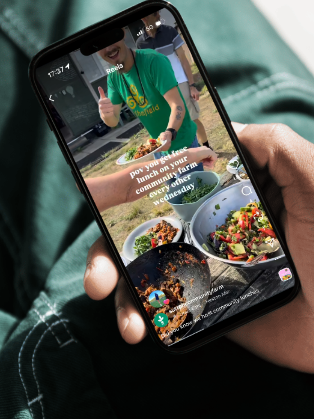 Sutton Community Farm Instagram and reels