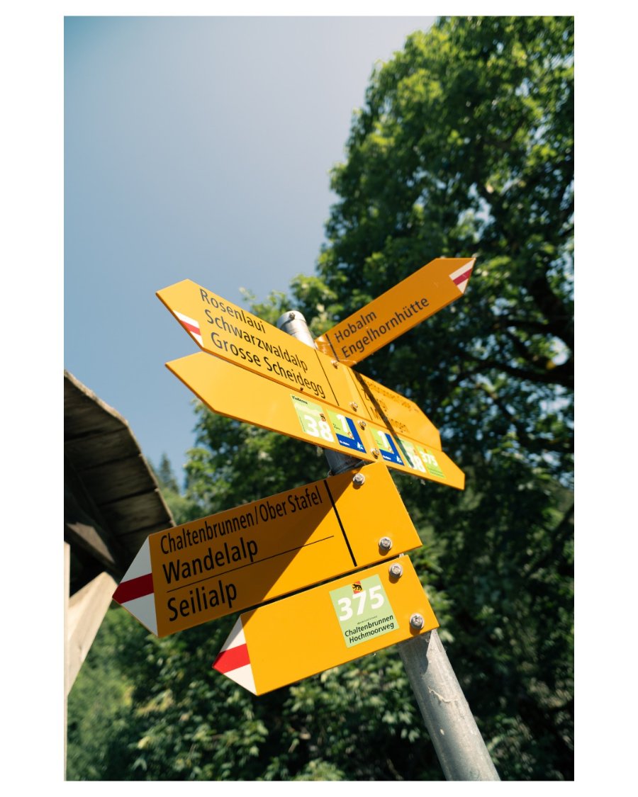 Swiss yellow signposts pointing to Grosse Scheidegg and Wandelalp