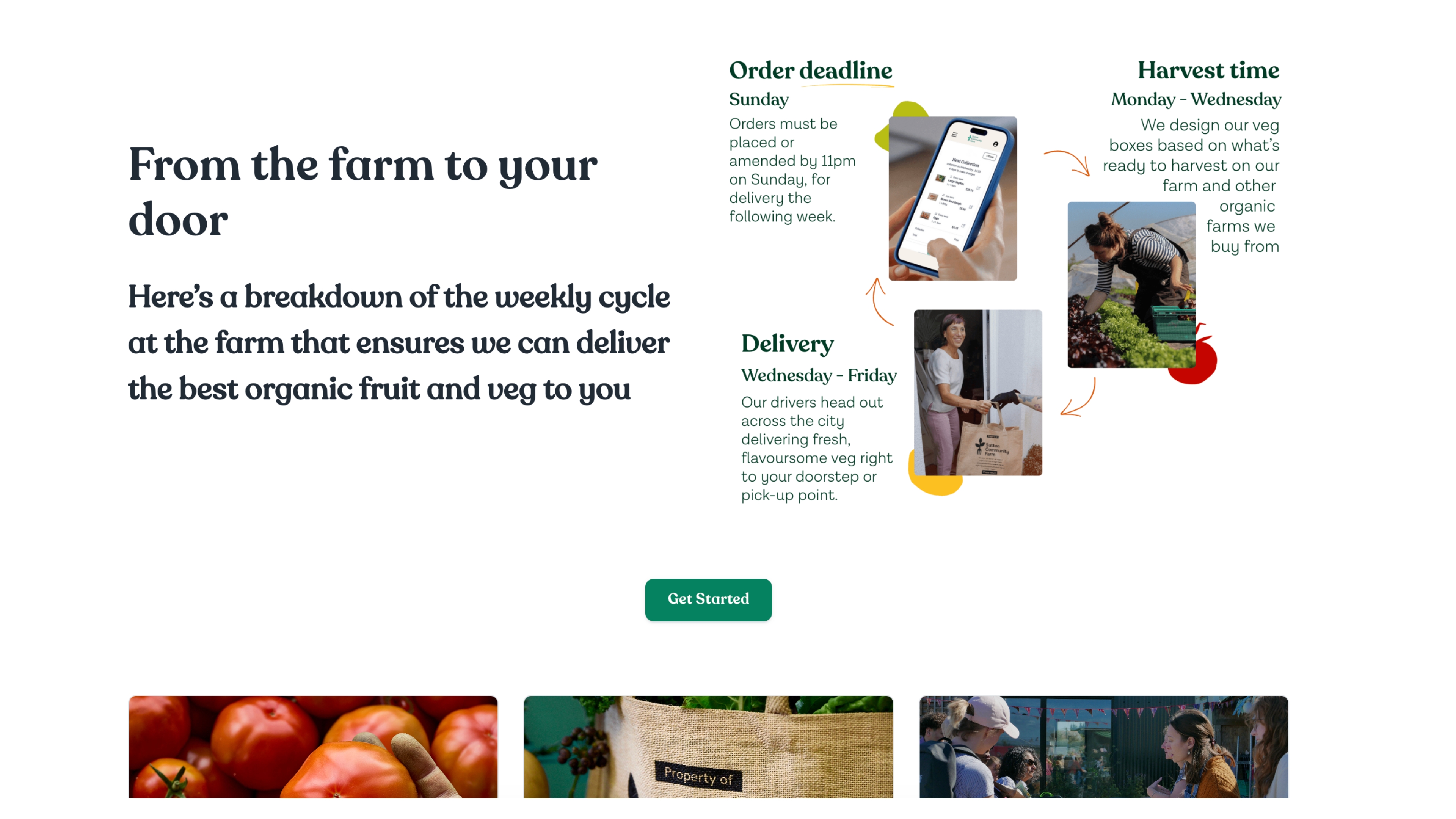Website page explaining the weekly cycle from order deadline to harvest to delivery