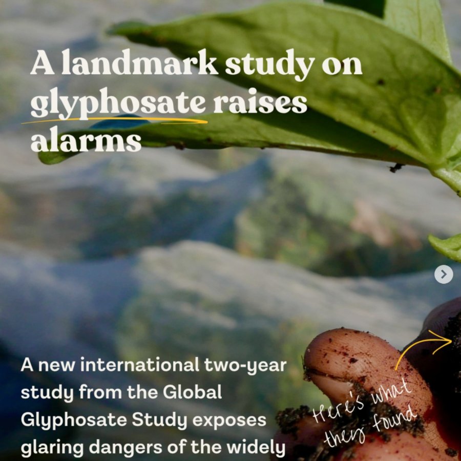 Food Systems Education post — a landmark study on glyphosate