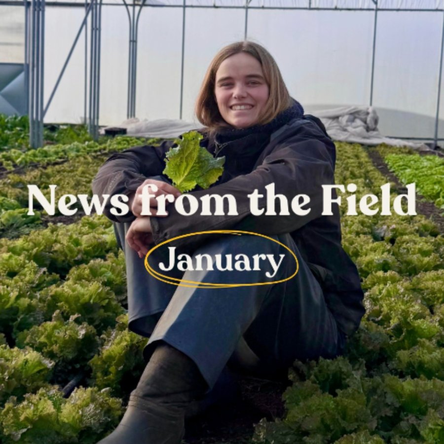 Farm Life post — News from the Field, January
